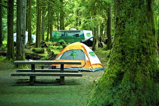 自驾游怎样才能找露营的地方